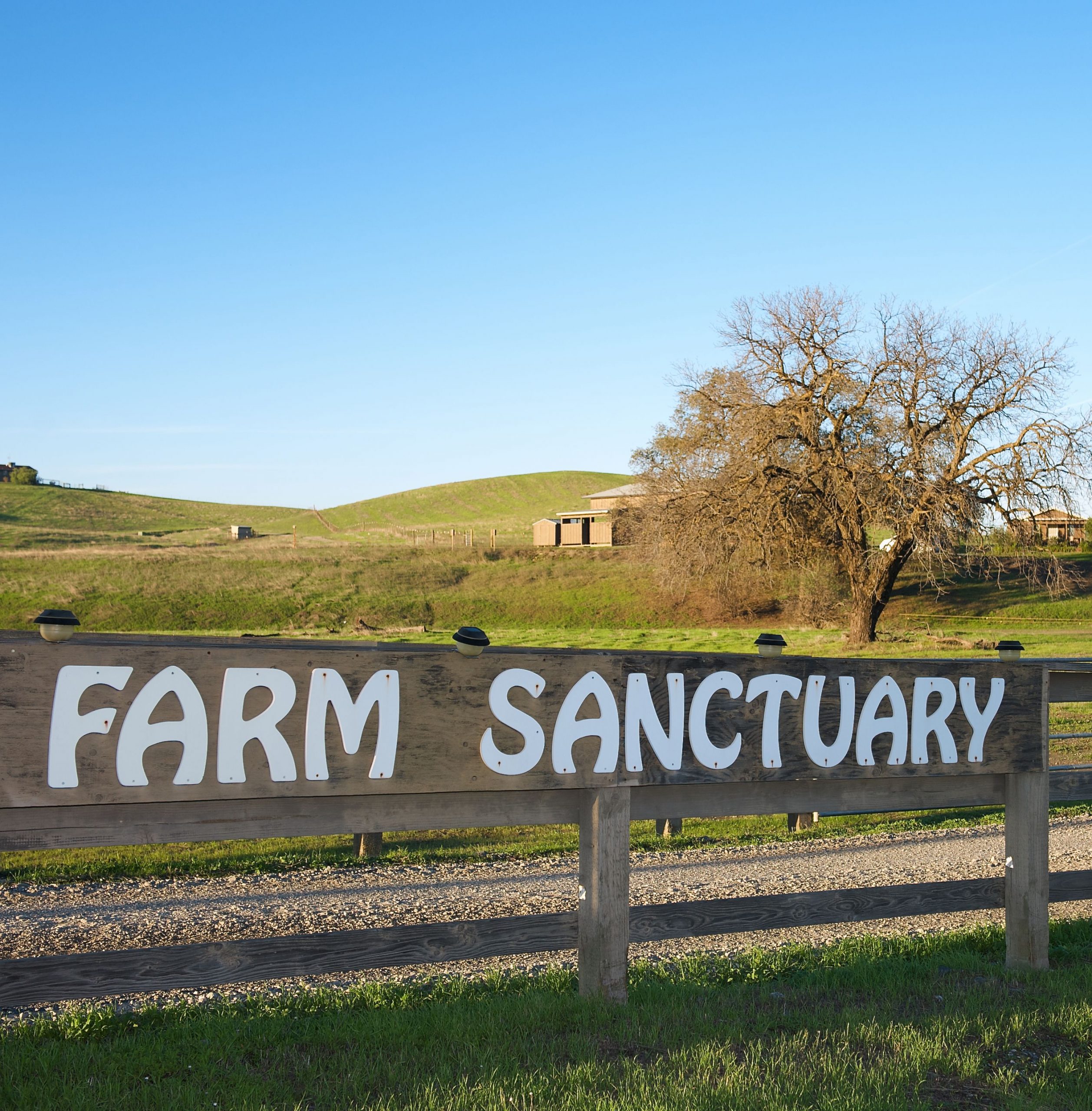 Farm Sanctuary sign in front of Orland location.