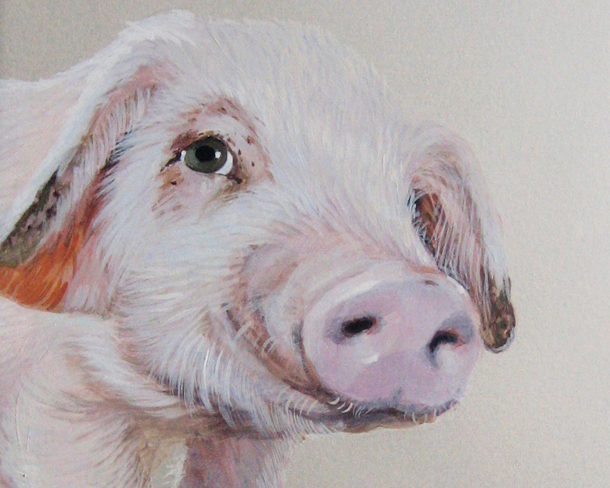Vertical explainer photo 1 - Peeking Pig / Artist: Jane O'Hara