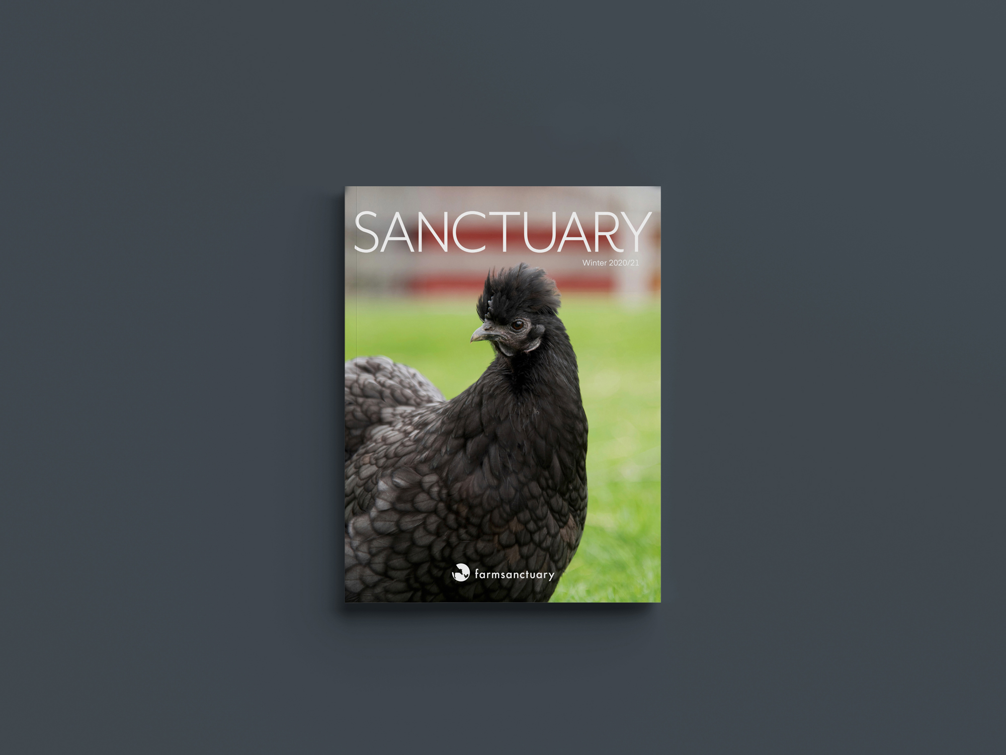 Sanctuary magazine cover.