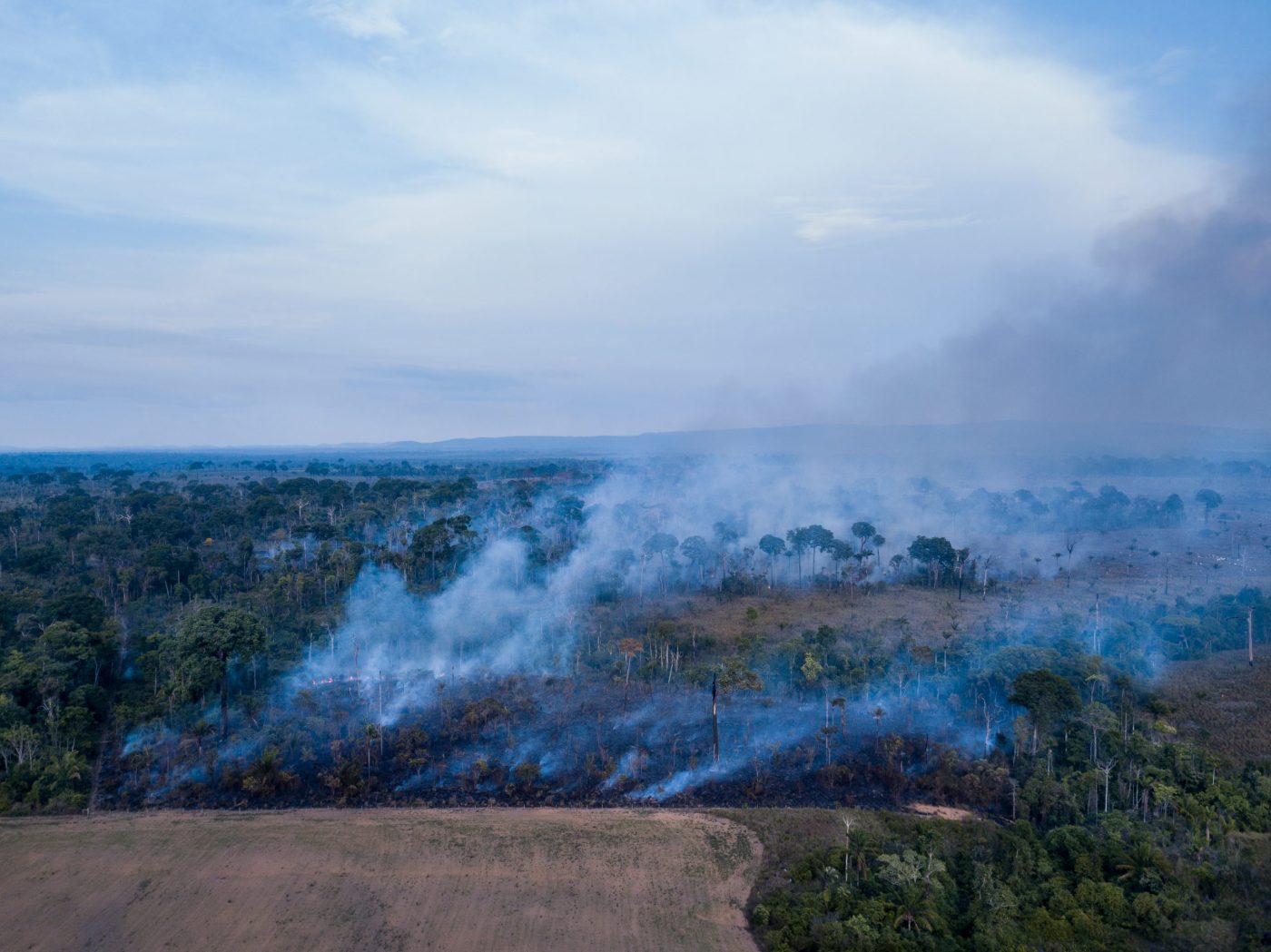 Vertical explainer photo 1 - Burning of the Amazon rainforest at dusk to increase livestock grazing area and agriculture activities Area already deforested in the foreground.