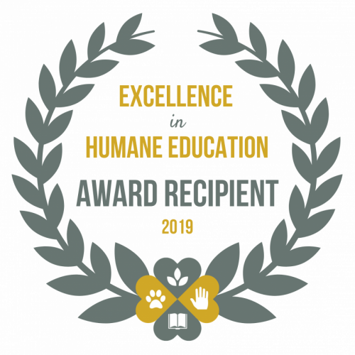 HEC Excellence Award 2019